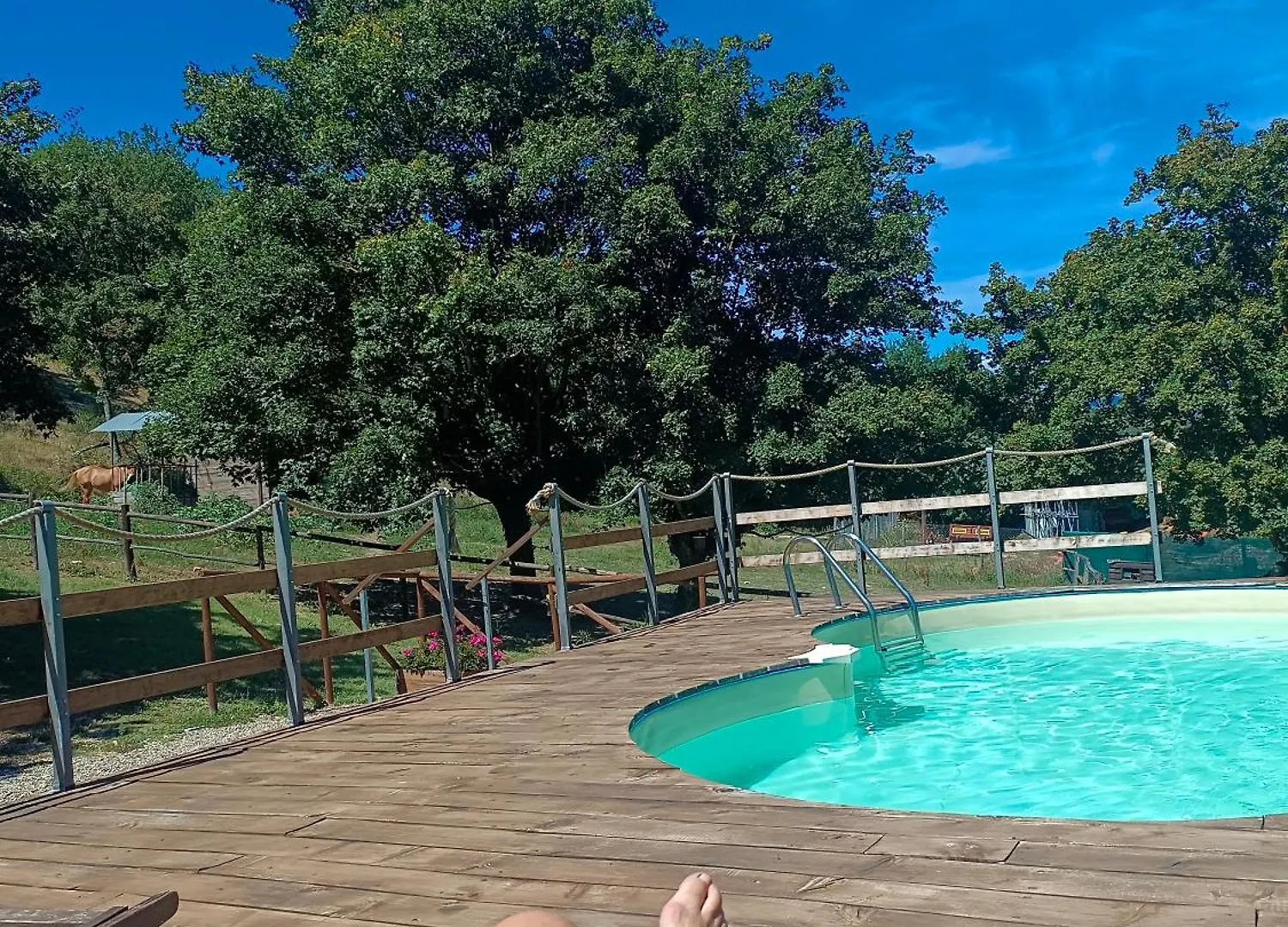 ** Bed & Breakfast Locanda Di Alberi Borgo San Lorenzo Italy