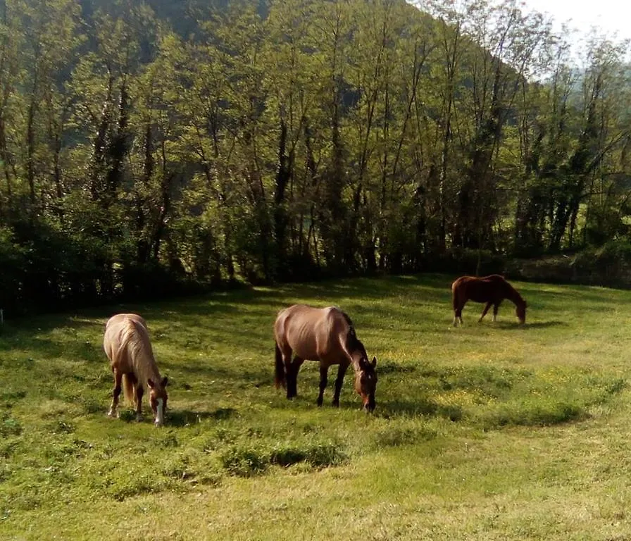 Locanda Di Alberi Borgo San Lorenzo 2*,